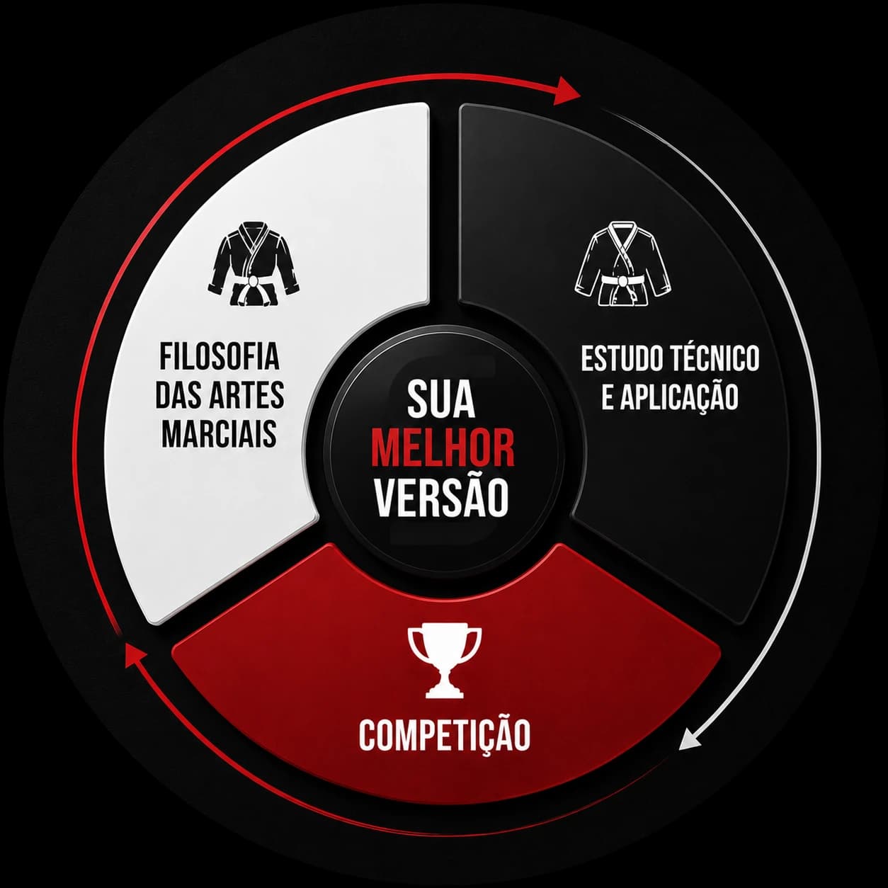Três pilares do método Supera: Filosofia das Artes Marciais, Estudo Técnico e Aplicação, Competição